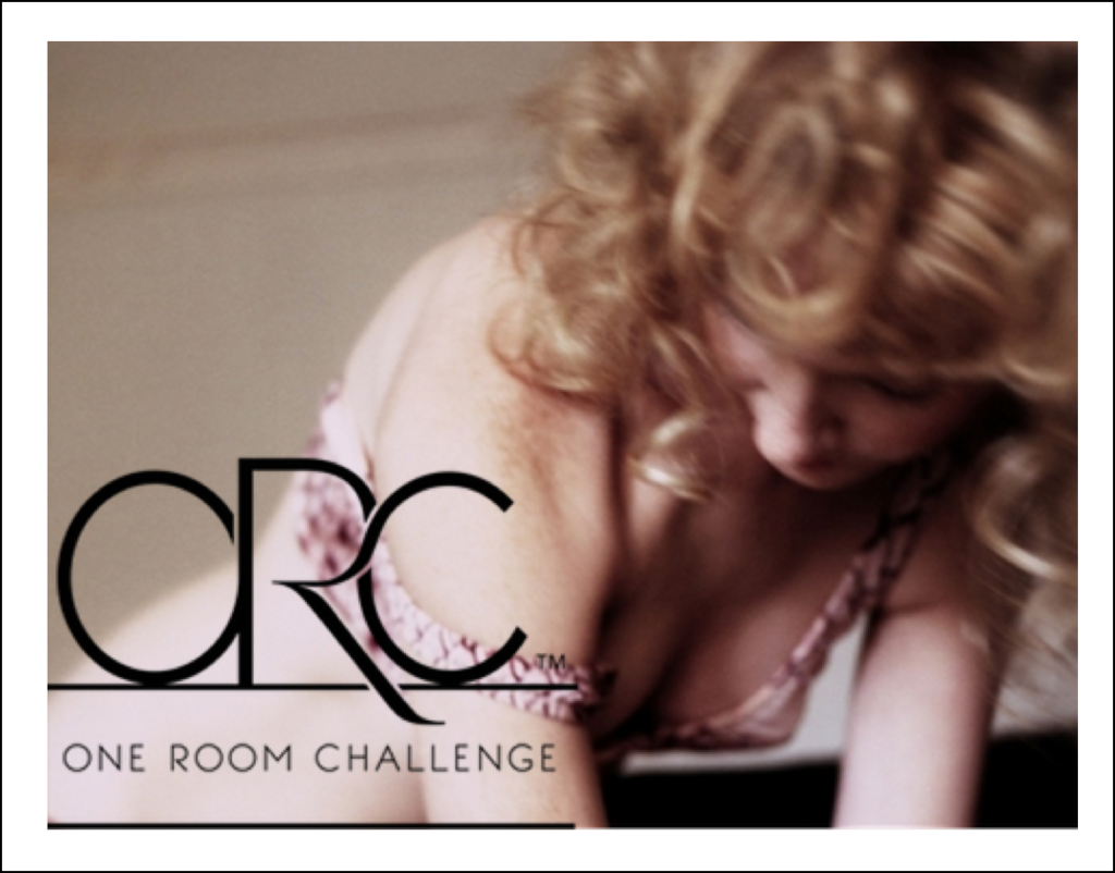  photo one room challenge banner christine dovey photograph maude arsenault_zpsyjfomive.png